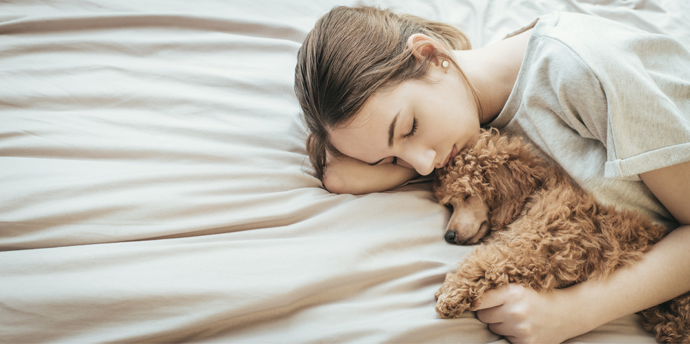 sleeping-with-dogs-pets-in-Family-Bed-oversized-custom-size-mattress-sizes-bigger-than-California-king-bed